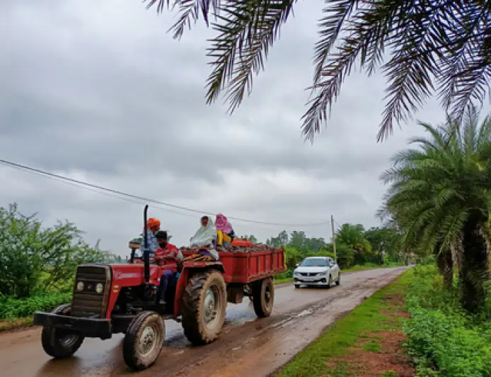 पेड़ के नीचे शरण लेना पड़ा भारी: सरगुजा में मवेशी चराने गई 13 साल की बच्ची पर गिरी बिजली