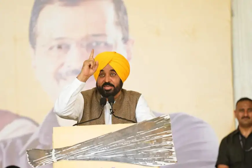 ं जागता नहीं, शान से दिन में करता है सिंचाई'-देवगढ़ बारिया में बोले सीएम भगवंत मान