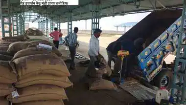 मध्य प्रदेश में समर्थन मूल्य पर गेहूँ उपार्जन शुरू: किसानों को मिलेगा ₹2625 प्रति क्विंटल, 19 लाख से अधिक पंजीयन