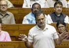 Rahul Gandhi Social Justice : 2029 से पहले कांग्रेस में बड़ा बदलाव, जमीनी नेताओं पर राहुल गांधी का दांव; यूपी में दलित चेहरे को कमान