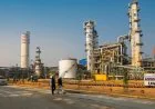 Urea Price Fall India: अंतरराष्ट्रीय बाजार में यूरिया 40% तक सस्ता, किसानों और सरकार को बड़ी राहत