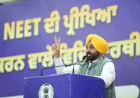 Punjab News: मेरिट के आधार पर 68 हजार से ज्यादा सरकारी नौकरियां दीं, NEET में सरकारी स्कूलों के 882 छात्रों की सफलता पर बोले CM मान