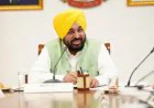 Punjab News: पराली जलाने पर पंजाब सरकार का फोकस, CM भगवंत मान ने गांव-गांव जागरूकता अभियान तेज करने के दिए निर्देश