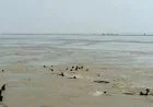 Vaishali Boat Accident: राघोपुर के रामपुर में पलट गई डोंगी नाव; अब तक 10 शव बरामद, बचाव अभियान जारी