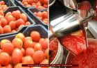 Ahmedabad Fake Ketchup: 2,000 किलो संदिग्ध जब्त, 105  का डिब्बा