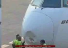 Delhi Airport News: Emirates Flight EK517 से टकराया पक्षी.