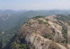 छत्तीसगढ़ की सबसे ऊंची चोटी गौरलाटा पर पहुंचे बलरामपुर के 30 युवा, 3 घंटे की चढ़ाई के बाद लहराया तिरंगा
