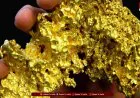 Australia Gold Nugget: आलू के आकार का सोना मिला,  करोड़ से ज्यादा