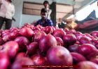 Onion Price Hike: प्याज के दाम 108% बढ़े, तेल-चीनी, चावल महंगे