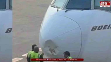 Delhi Airport News: Emirates Flight EK517 से टकराया पक्षी.