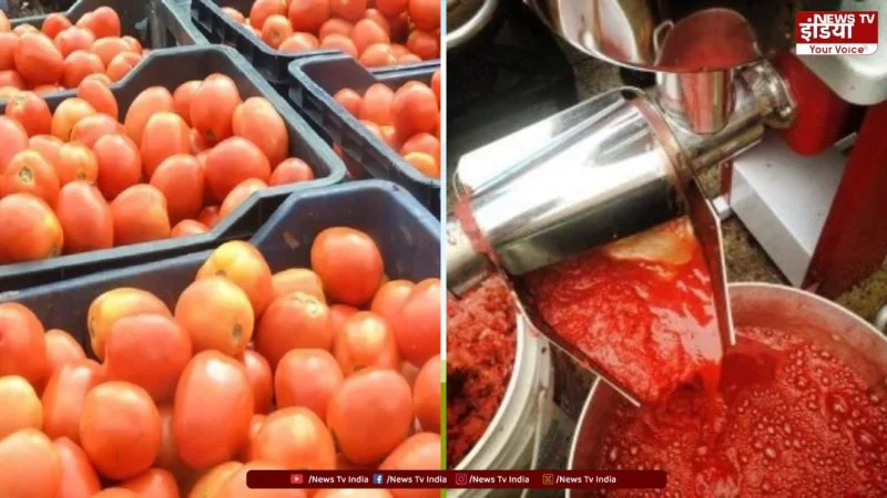 Ahmedabad Fake Ketchup: 2,000 किलो संदिग्ध जब्त, 105  का डिब्बा