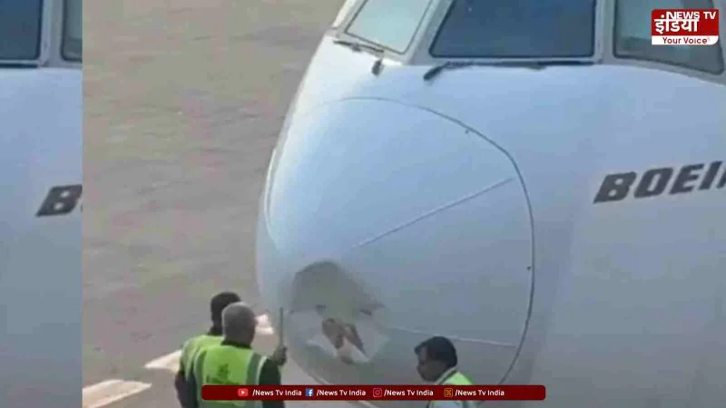 Delhi Airport News: Emirates Flight EK517 से टकराया पक्षी.