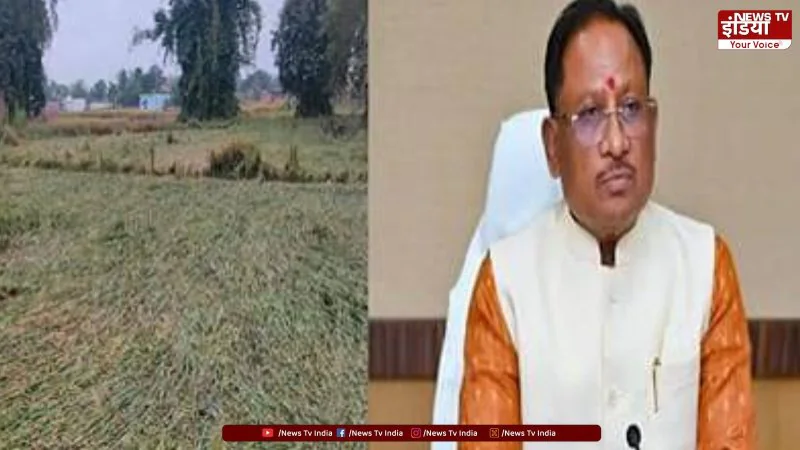 Cyclone Arnab: छत्तीसगढ़ के किसानों को मिलेगा मुआवजा,  आदेश